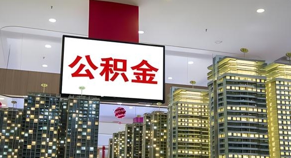 公积金导出明细-无棣公积金代办平台